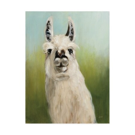 Trademark Fine Art Julia Purinton 'Whos Your Llama I Green' Canvas Art, 18x24 WAP11946-C1824GG